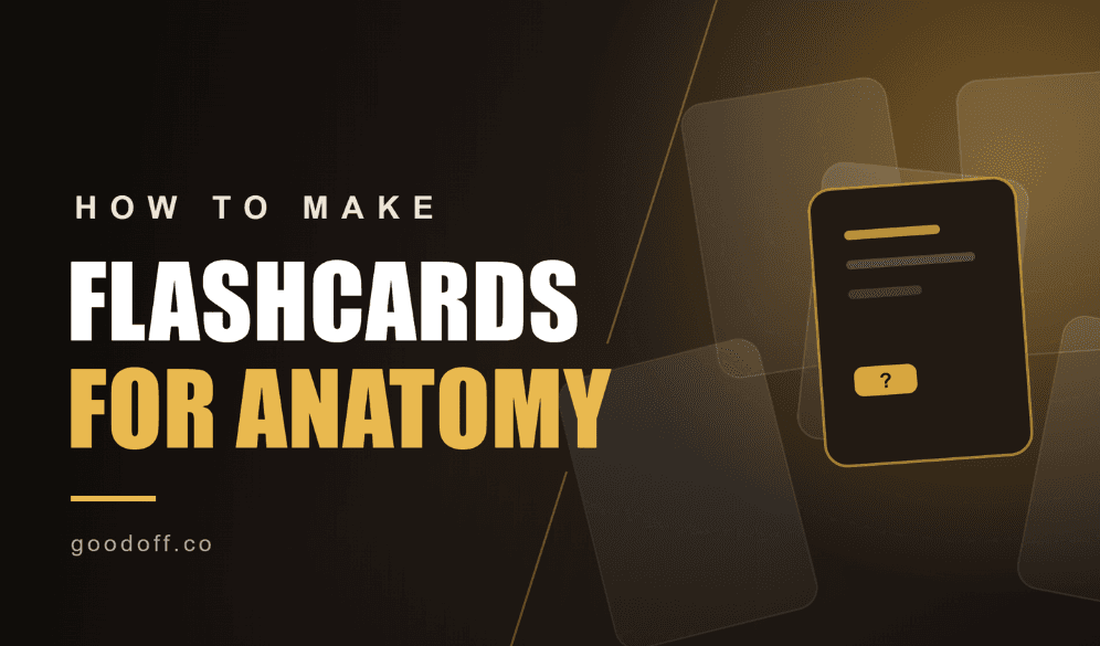 How to Make Flashcards for Anatomy That Actually Work