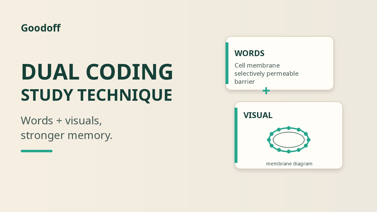 Dual Coding Study Technique: How Words and Visuals Help You Remember More